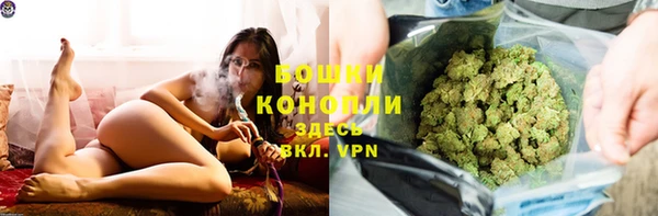 сатива Куйбышев