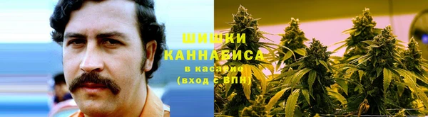 дурь Краснотурьинск