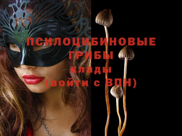 дурь Краснотурьинск