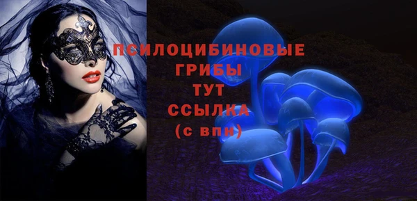 мет Ладушкин