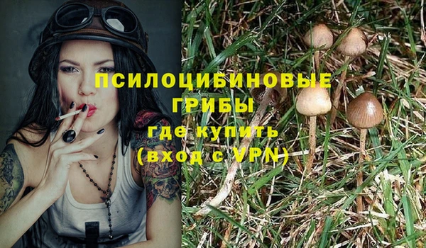 сатива Куйбышев