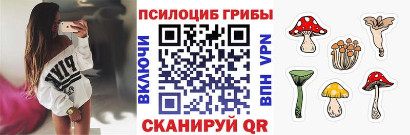 Купить  Воскресенск  Галлюциногенные грибы Cubensis 